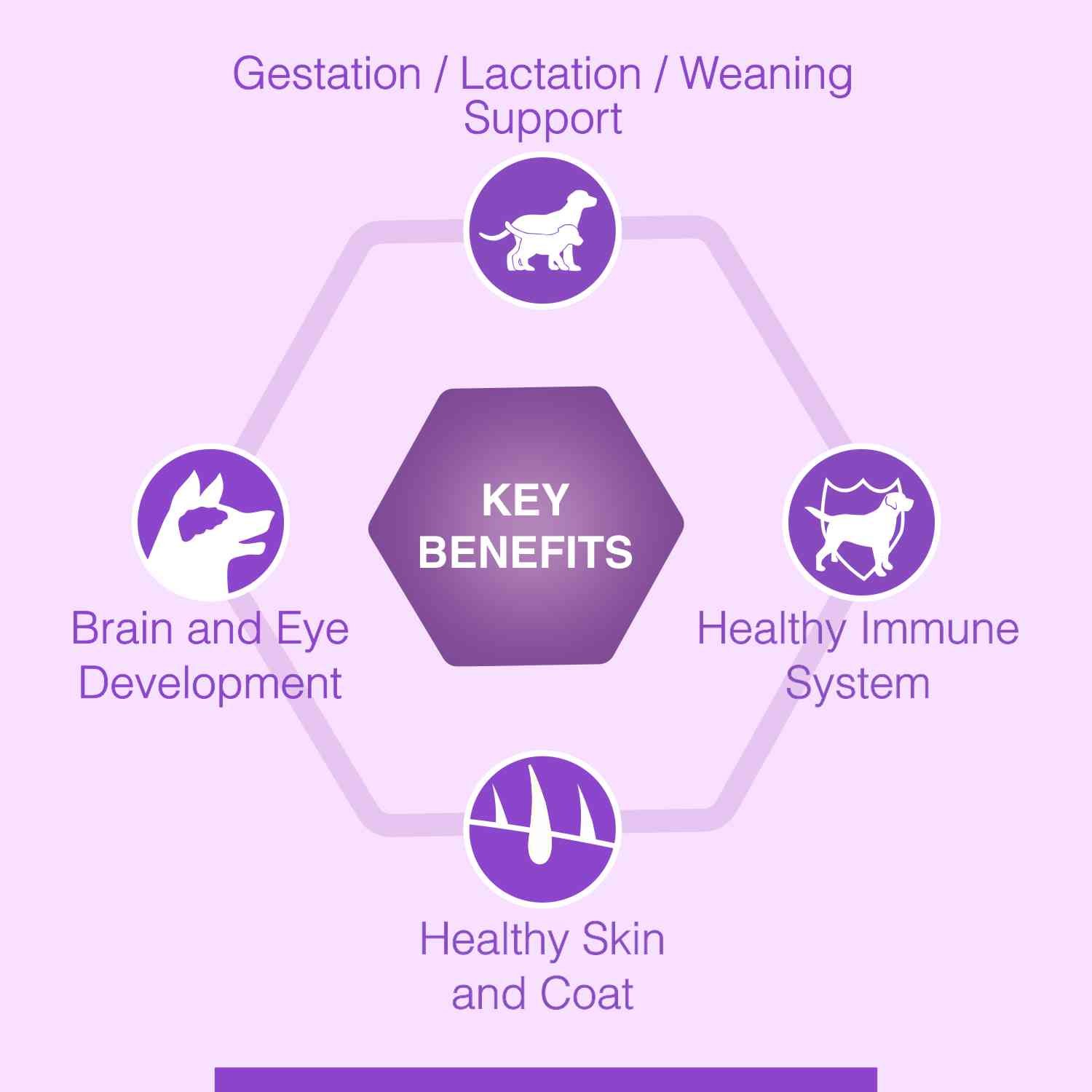 Canine Creek Starter Dry Dog Food, Ultra Premium - Image 5