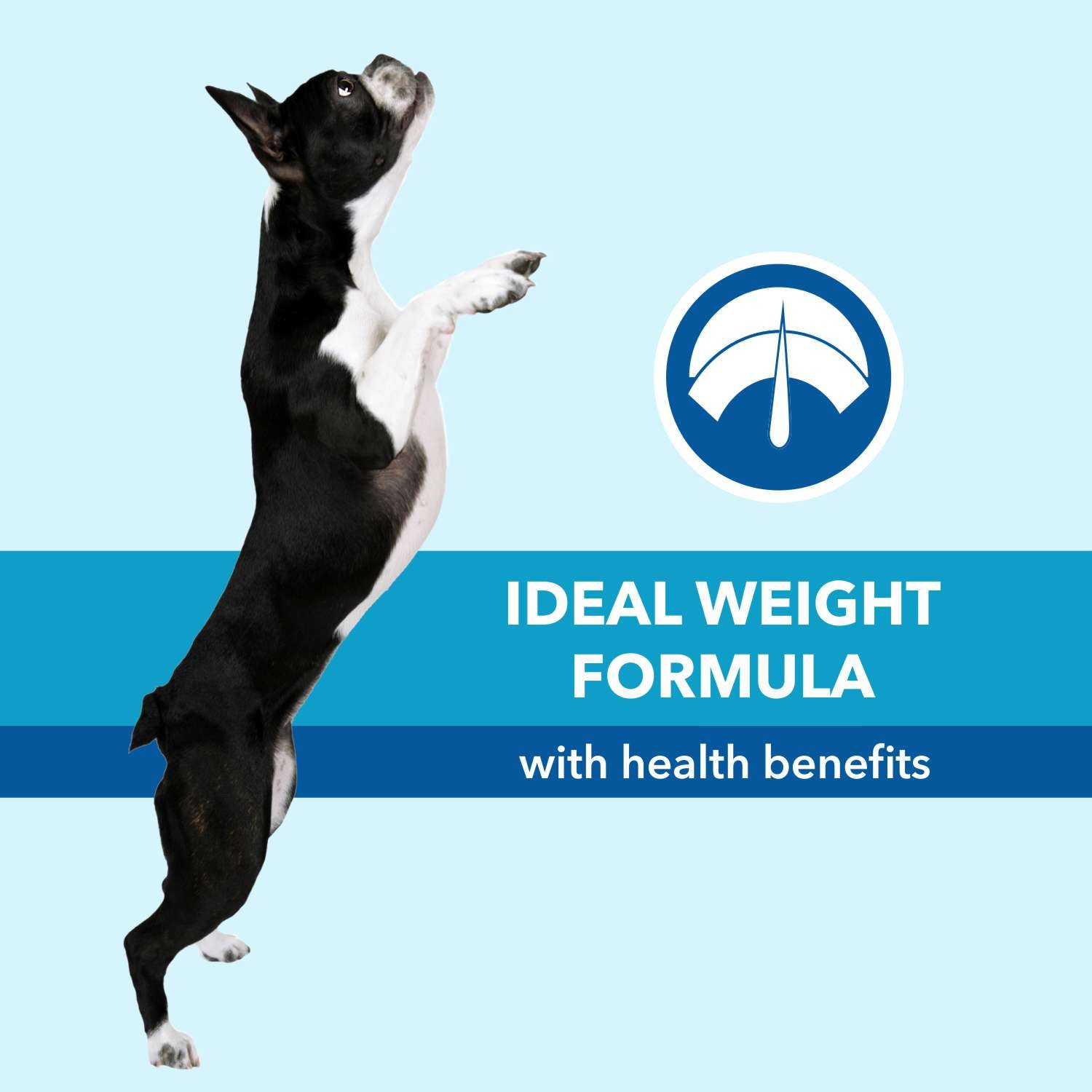 Purepet Adult Dry Dog Food 20kg | Chicken & Vegetable Flavour - Image 3